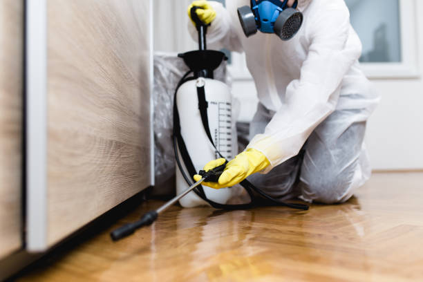 Best Insect Control  in Berry Hill, TN