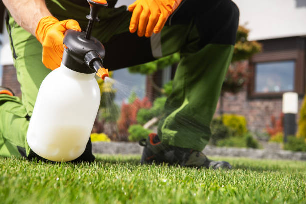 Best Cockroach Control Services  in Berry Hill, TN