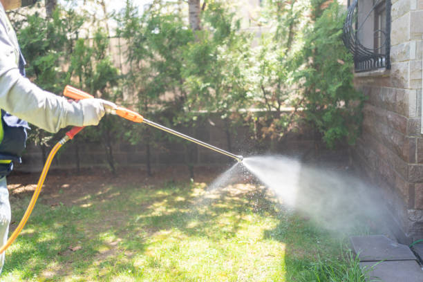 Best Wasp Removal Services  in Berry Hill, TN